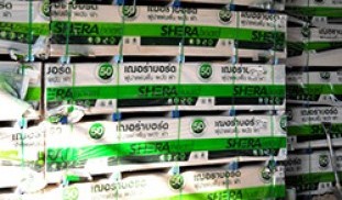 เณอร่าบอร์ด เณอร่า