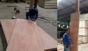 ประตูทำเอง ประตูทำเอง