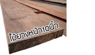 ไม้แบบยางนา