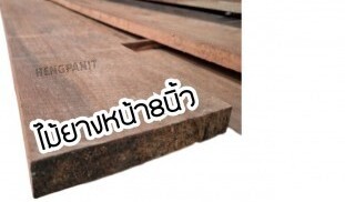 ไม้แบบยางนา