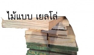 ไม้แบบเยลโล่