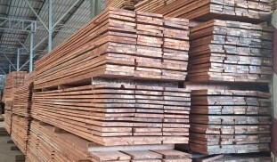 ไม้แบบ ไม้แบบ